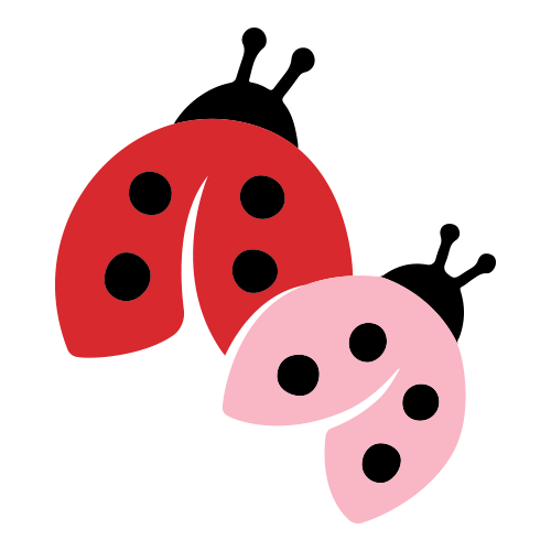 Ladybug for Girls Foundation, Inc.